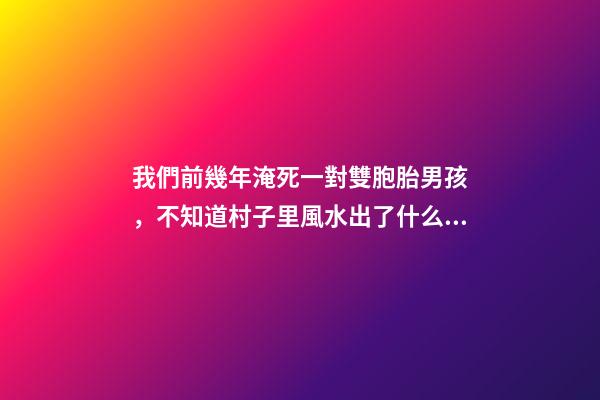 我們前幾年淹死一對雙胞胎男孩，不知道村子里風水出了什么問題導